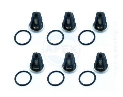 KIT 62 Interpump Szelepkészlet