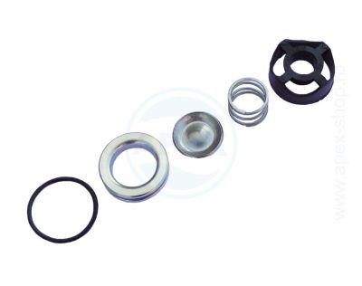 Speck Pumps SP2 szelep + O-gyűrű készlet, P sorozat